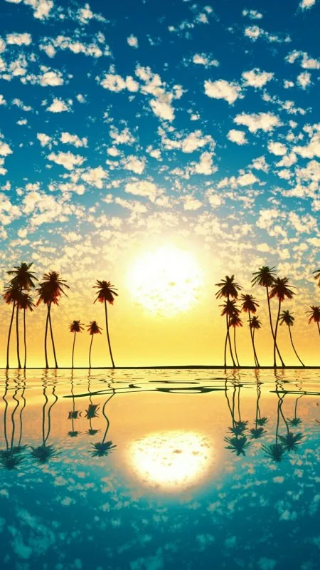 Tree Horizon Sea Sunset HD Nature Wallpaper
