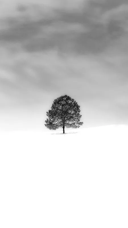 Tree Smoke HD Nature Wallpaper