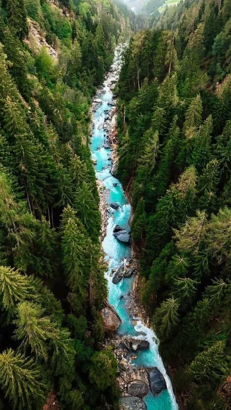 Nature Tree Water Natural Landscape Watercourse Wallpaper