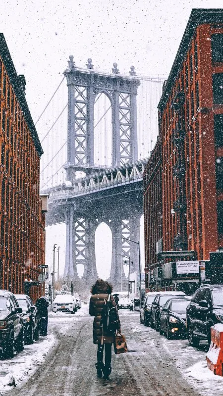 Winter City Nature Wallpaper