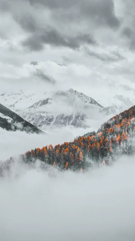 Winter In Mountain HD Nature Wallpaper