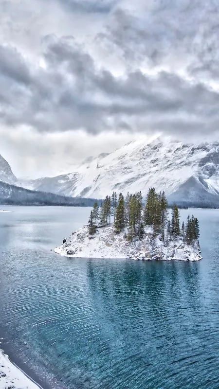 Winter Journey Nature Wallpaper