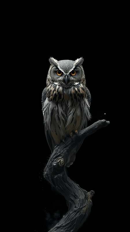Owl On Branch Wallpaper