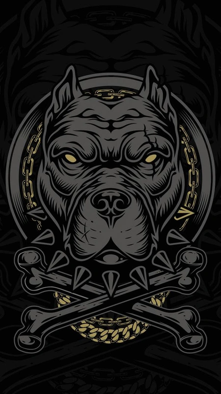 Pitbull Chain Crest Wallpaper