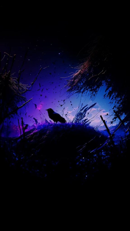 Purple Dusk Cat Wallpaper