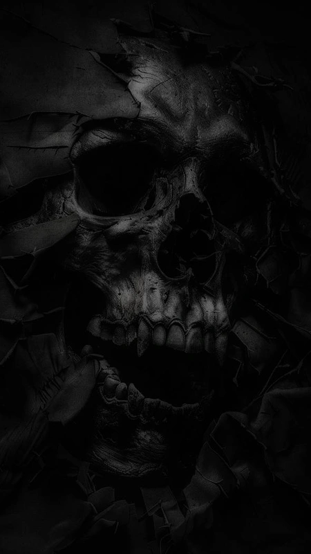 Shadow Skull Decay Wallpaper