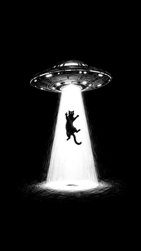 UFO Cat Abduction Wallpaper